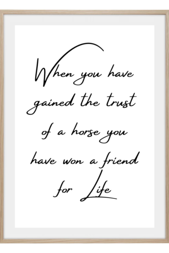 Poster - Friend for life
